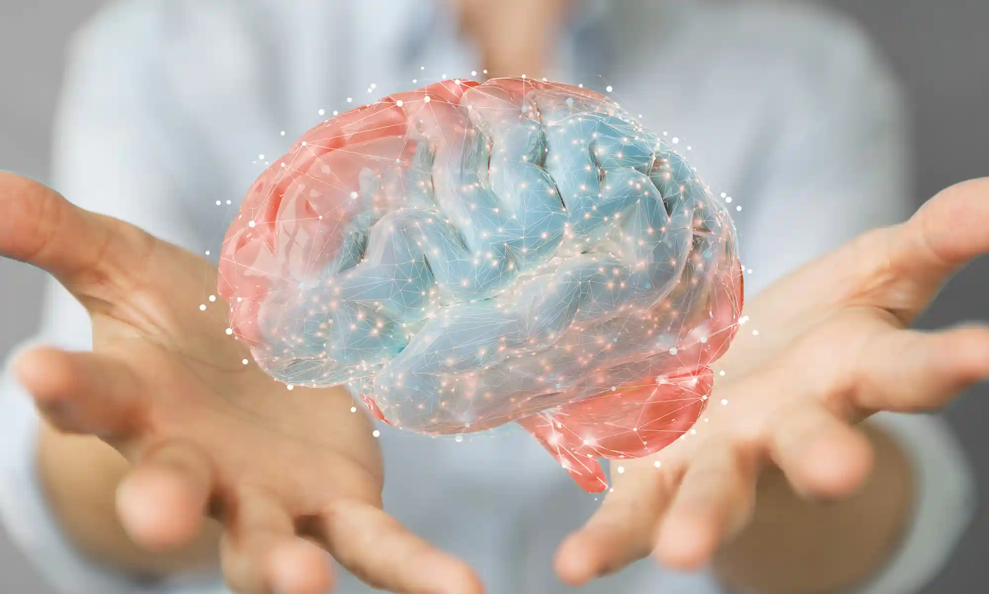 Guía sobre los sesgos cognitivos en el marketing: ejemplos y tipos